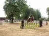 Sports - Équitation - Concours Hippiques