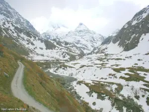 Haut vallon d'Avérole