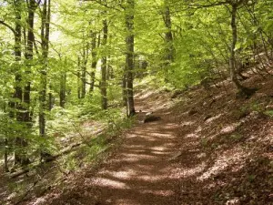 Trail (© Jean Espirat)
