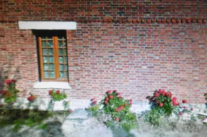 Small bricks and pretty flowers