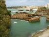 Biarritz - Le port des pêcheurs