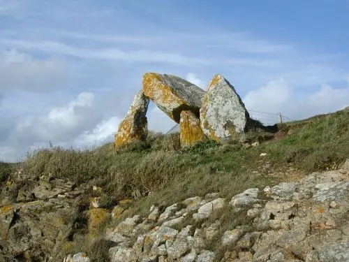 Dolmen of the Crapaud - Monument in Billiers