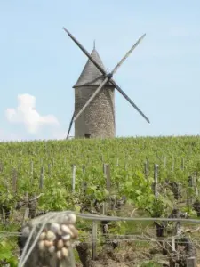 Le moulin