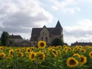 Charming village of Blaison -Gohier