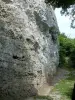 Blancs-Coteaux - Escalada del sitio de Falloises a Vertus