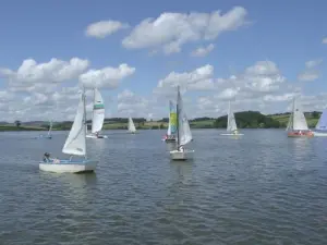 Sailing, an area of ​​freedom where young and old alike rub shoulders