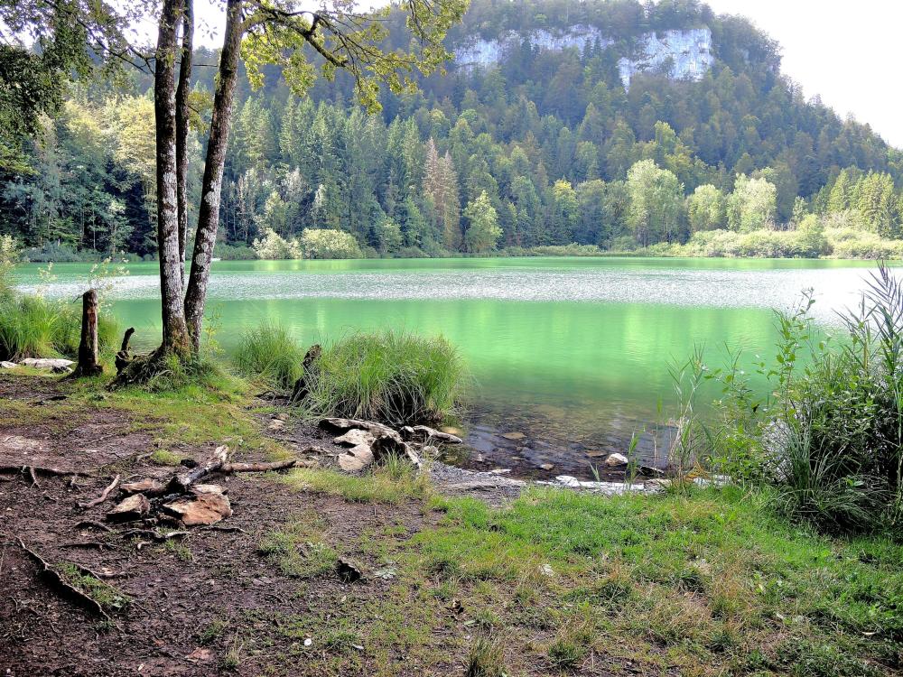 Bonlieu - oostelijke oever van Lake Bonlieu (© JE)