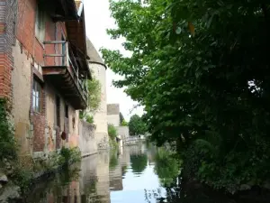 Walk on the Loir Electric Boat