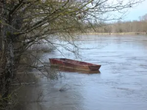 The Loire in Bonny