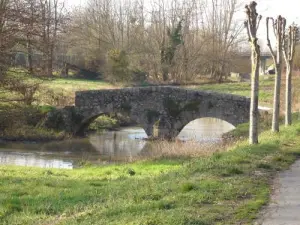 Nuns' Bridge dating from the Renaissance