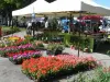 Bordères-sur-l'Échez - Borderaise Floralies