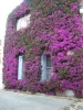 Una casa con flores