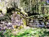 las ruinas de los edificios antiguos de la cifra de Chalamont (© JE)