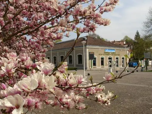 Tourist Office of Bourbonne-les-Bains - Information point in Bourbonne-les-Bains