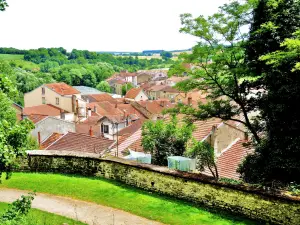 Panorámica del noreste, desde el parque del castillo (© JE)