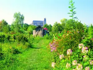 Cattedrale Bourges di Santo Stefano - Marsh View