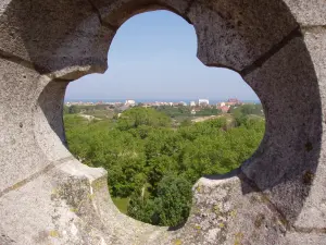 From the top of the church