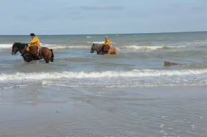 Pescadores de camarón