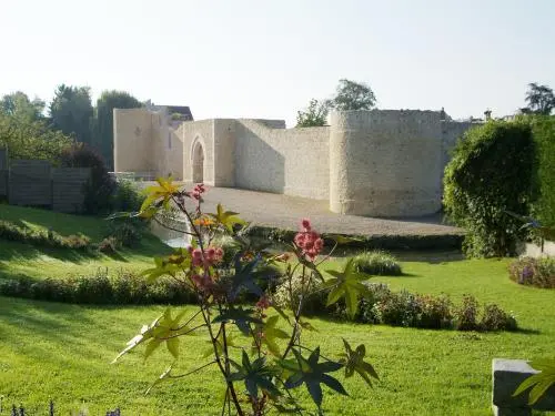 Castillo de Brie-Comte-Robert - Monumento en Brie-Comte-Robert