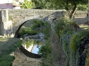 Puente viejo en Garon