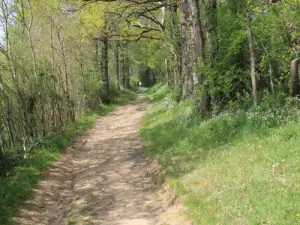 Sentier de Vauchrétien