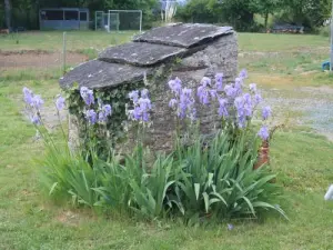 Vauchrétien - Old water well