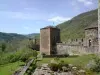 Castillo de Brousse - Monumento en Brousse-le-Château