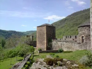 Cour du château (© SI des Raspes du Tarn)