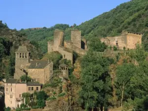 Brousse-le-Château (© Pol Boussaguet pour le SIVOM de Saint-Rome-de-Tarn)