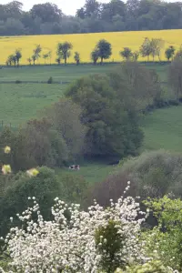 Buire-au-Bois in spring