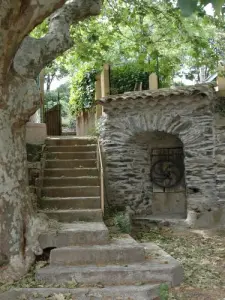 Antiguo pozos