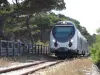 Train Calvi via L'Ile Rousse Ponte -Leccia, Bastia
