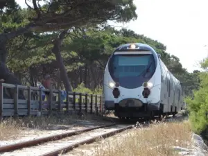 Trein Calvi via L'Ile Rousse Ponte -Leccia, Bastia