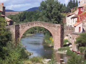 Le pont vieux