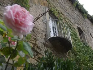 Rose et remparts