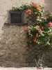 Il villaggio di Cento Roses