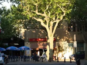 Place du village de Capestang