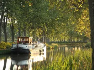 Fascini del Canal du Midi: curve, alberi maestosi, la luce...