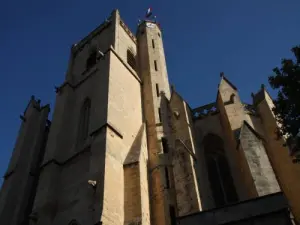 Collegiata di S. Stefano