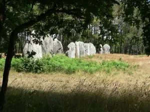 Carnac (© Frantz)