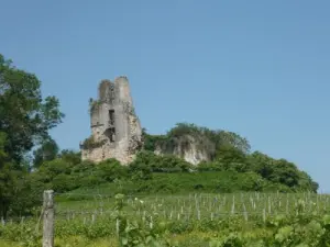 Château de Carsac-de-Gurson