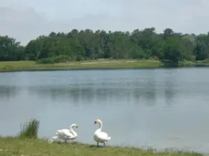 Lac - Base de loisirs