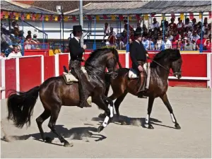 La Feria... Capea van beginners (© Alain Chopin)