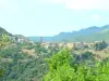 Castellare-di-Mercurio - Guida turismo, vacanze e weekend nella Corsica Settentrionale