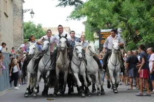 Votive festivals in Castillon