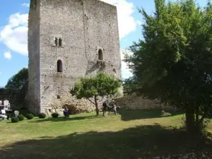 Ruines du château, la tour