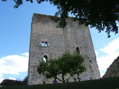 Castillo de Clérans - Monumento en Cause-de-Clérans