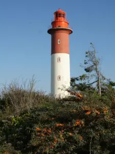 Leuchtturm von Cayeux