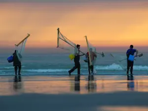 Shrimp fishing