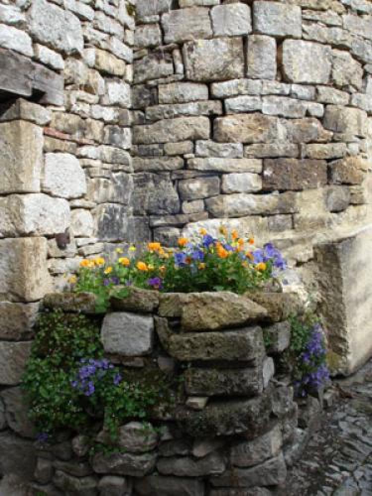 Caylus - Détail fleuri de la rue des remparts